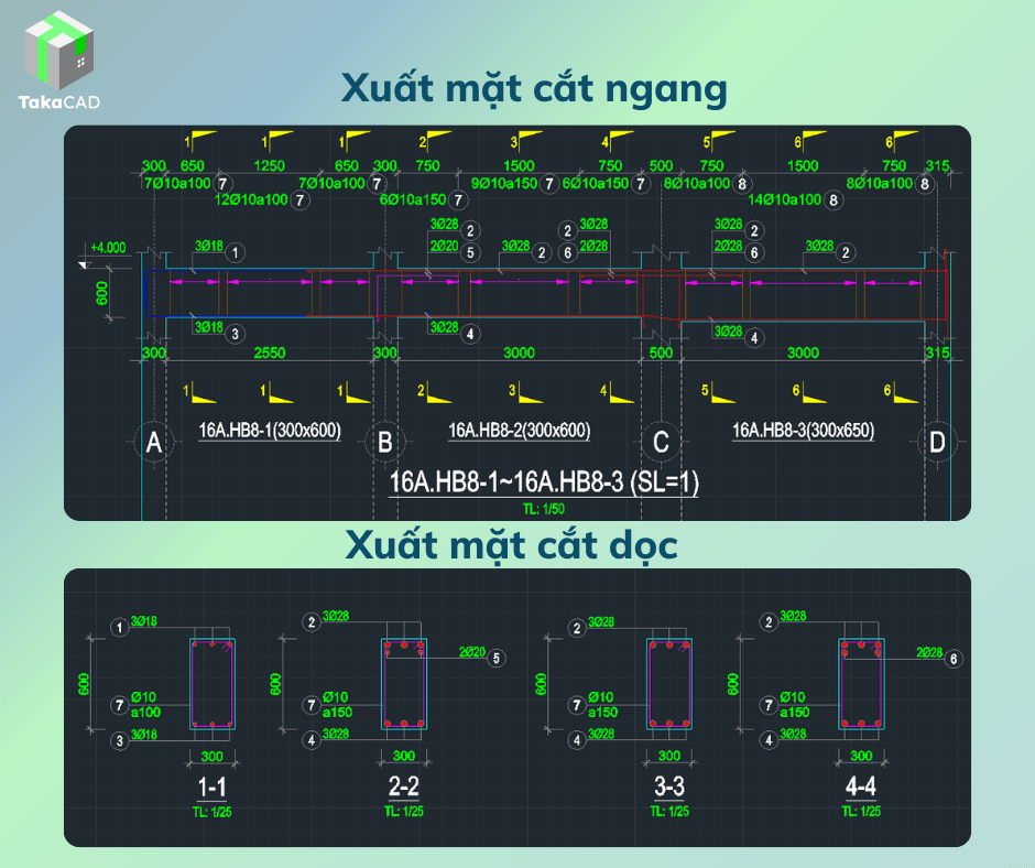 Casestudy TakaCAD (1).png